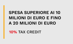 Contributo Mise 2021